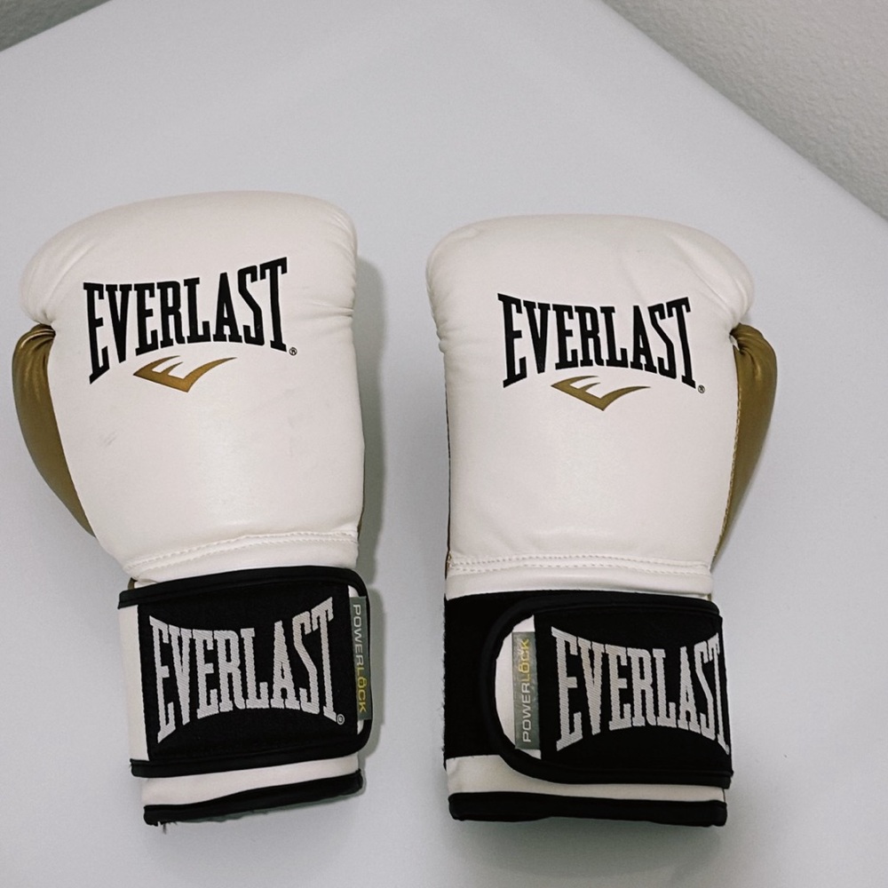 Everlast Powerlock 2 Boxing Gloves - like new